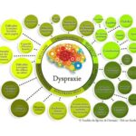 Infographie : La Dyspraxie