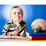 L'institut du cerveau de l'enfant va voir le jour en 2027