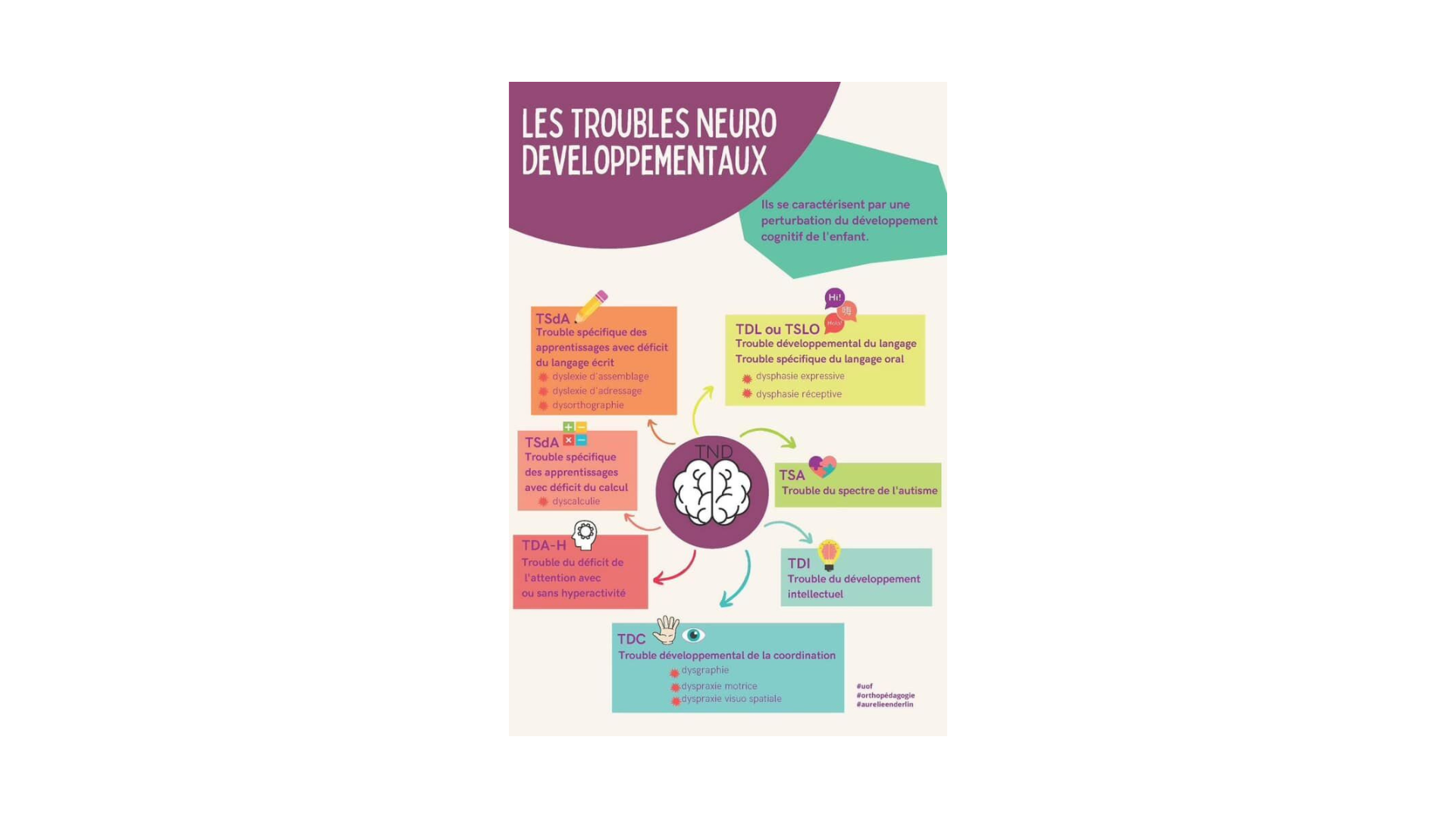 Infographie Les Tnd Intercamsp