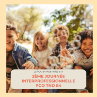 JOURNEE INTERPROFESSIONNELLE PCO TND 84